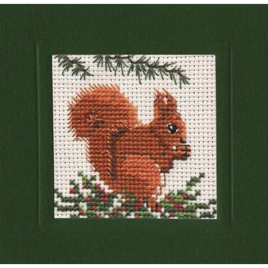 CMSQ Red Squirrel Miniature Card