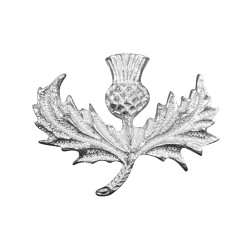 040 Wide Thistle Brooch