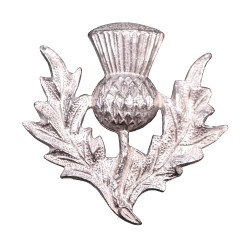 045 Large Thistle Brooch