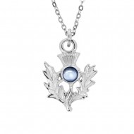 December (Turquoise) Thistle Pendant