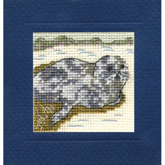 MCSEA Seal Miniature Card MCSEA Seal Miniature Card