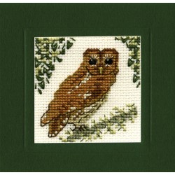 MCTO Tawny Owl Miniature Card