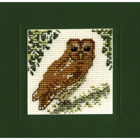 MCTO Tawny Owl Miniature Card